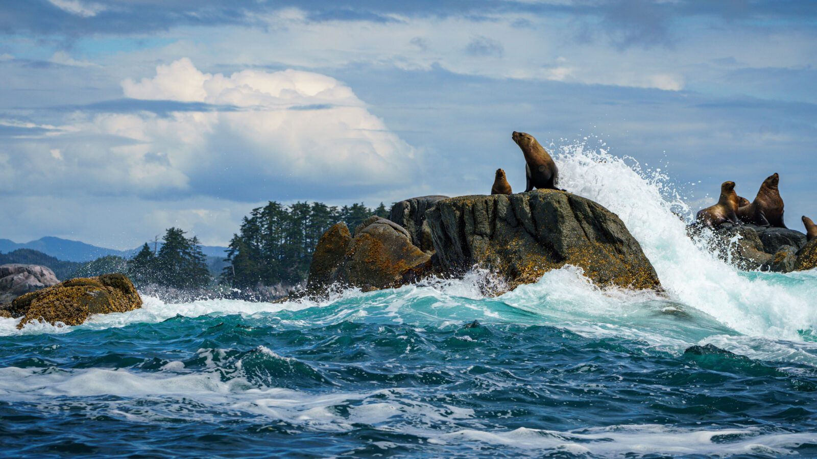 DC-CSE_Spirit-Bear-Lodge-167