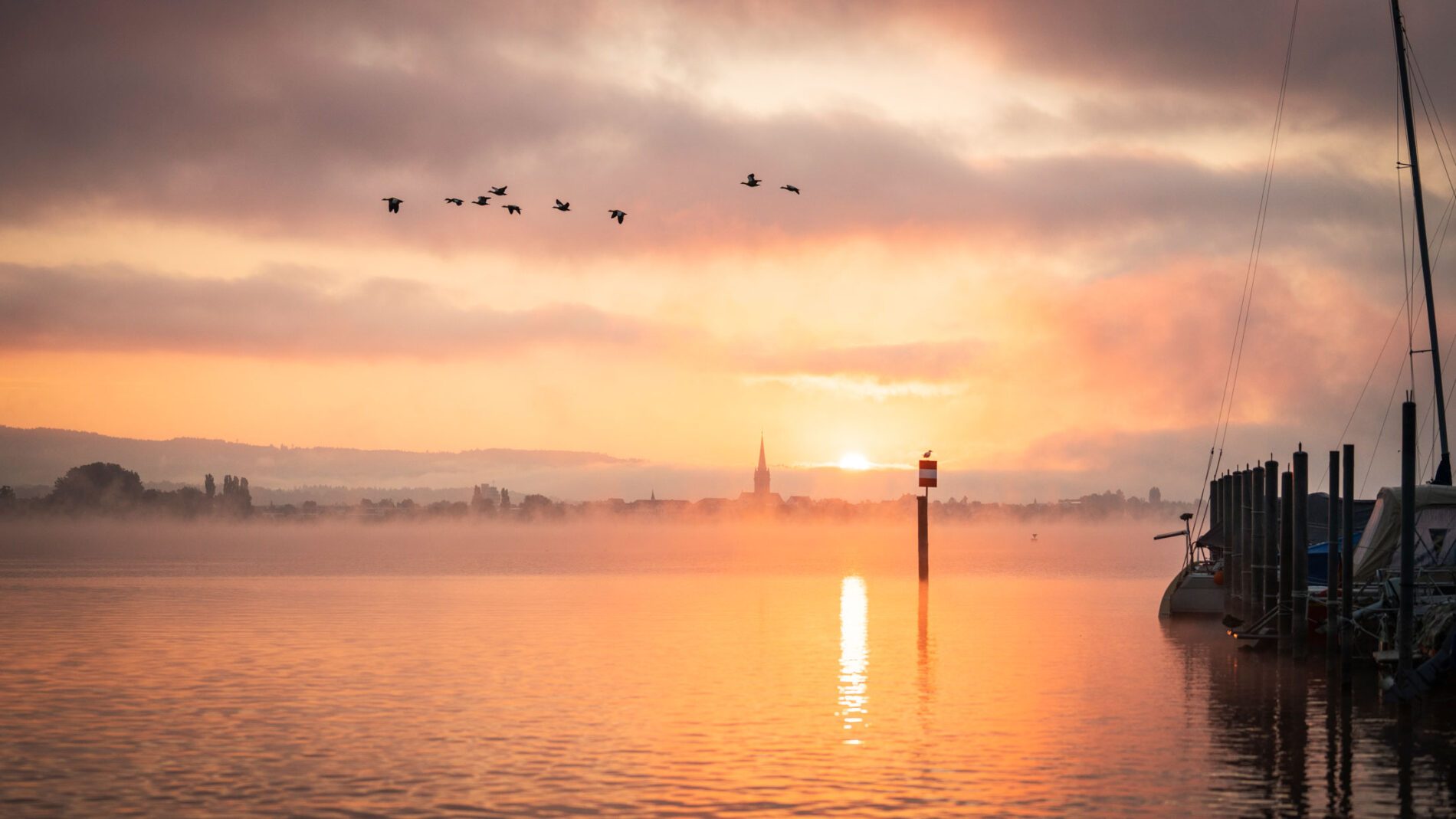 Genuss am Bodensee
