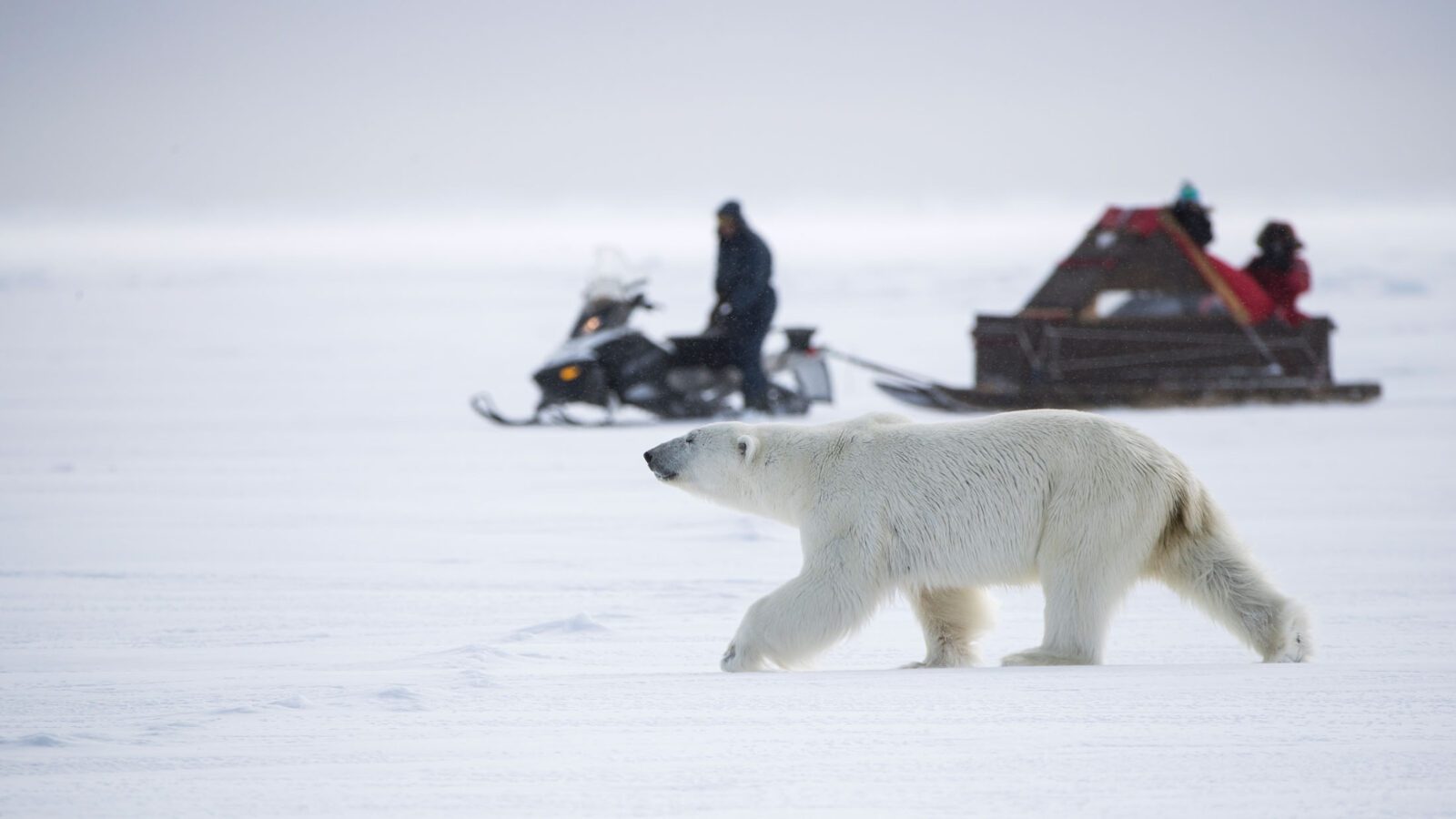 c180002_005-Nunavut-A91I5720